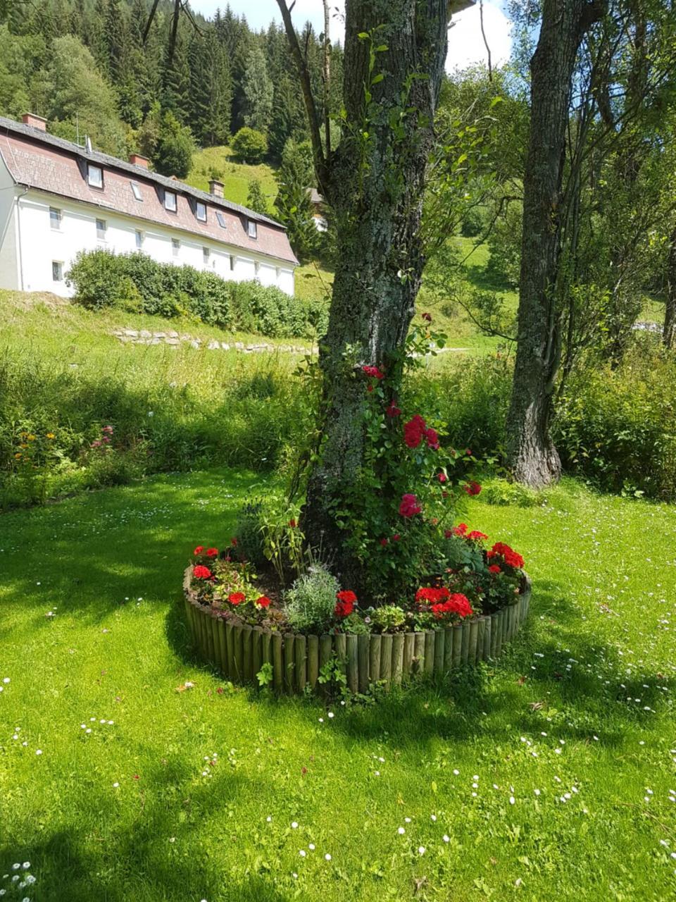 Riverside Ski Apartment Ramingstein Exterior foto